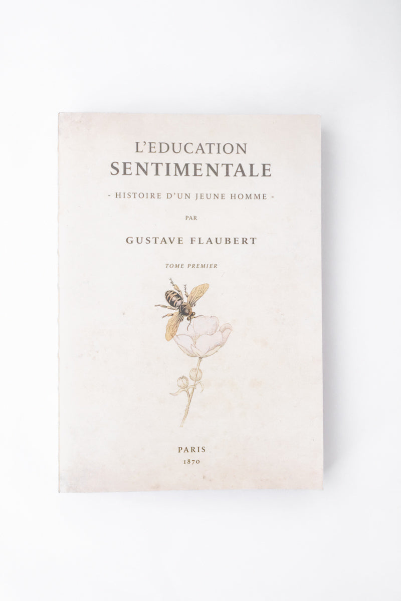 Libri Muti Education Sentimentale